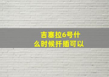 吉塞拉6号什么时候扦插可以