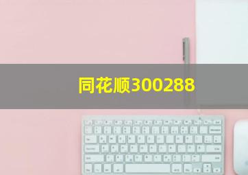 同花顺300288