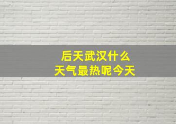 后天武汉什么天气最热呢今天