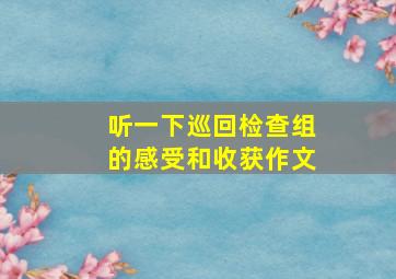 听一下巡回检查组的感受和收获作文