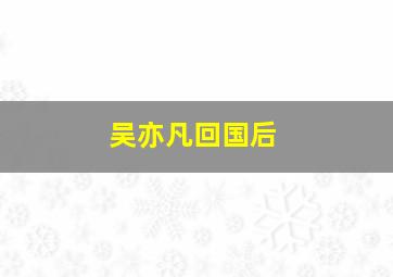 吴亦凡回国后