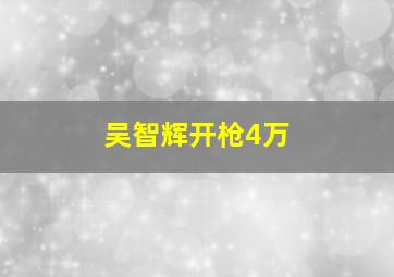 吴智辉开枪4万