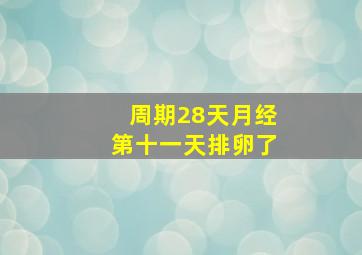 周期28天月经第十一天排卵了