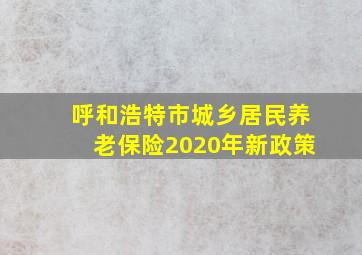 呼和浩特市城乡居民养老保险2020年新政策