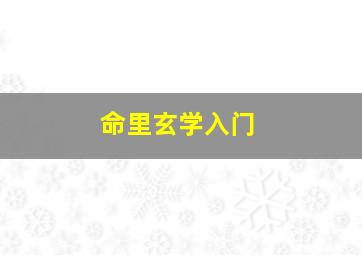 命里玄学入门