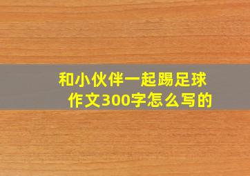 和小伙伴一起踢足球作文300字怎么写的