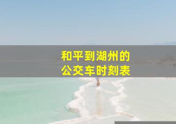 和平到湖州的公交车时刻表