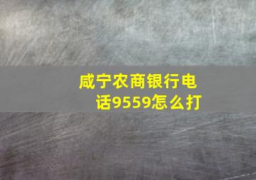 咸宁农商银行电话9559怎么打