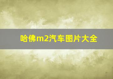 哈佛m2汽车图片大全