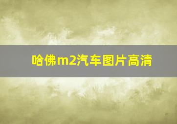 哈佛m2汽车图片高清