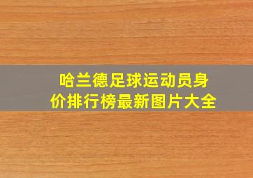 哈兰德足球运动员身价排行榜最新图片大全