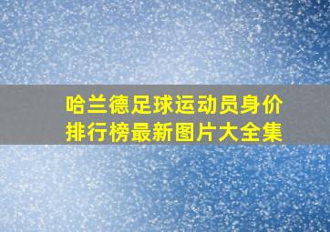 哈兰德足球运动员身价排行榜最新图片大全集