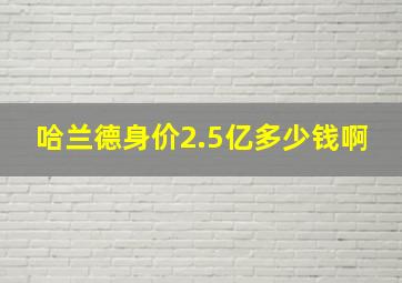 哈兰德身价2.5亿多少钱啊