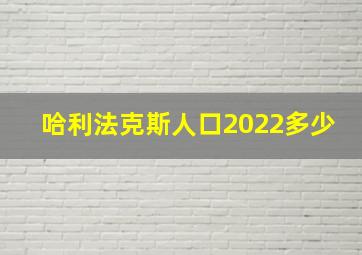 哈利法克斯人口2022多少