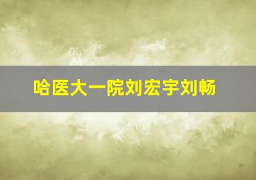 哈医大一院刘宏宇刘畅