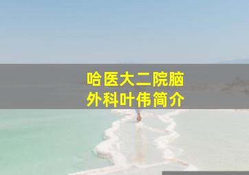 哈医大二院脑外科叶伟简介