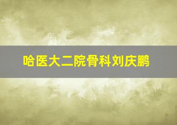 哈医大二院骨科刘庆鹏