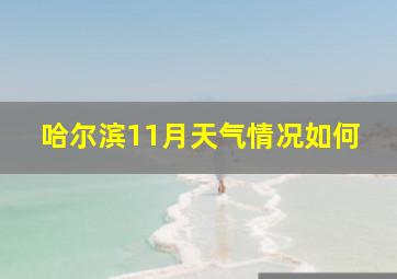 哈尔滨11月天气情况如何