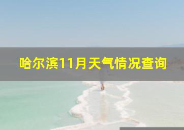 哈尔滨11月天气情况查询