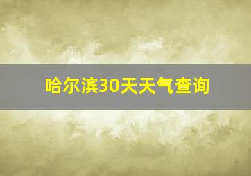 哈尔滨30天天气查询