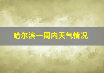 哈尔滨一周内天气情况