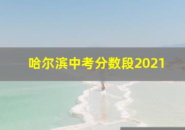 哈尔滨中考分数段2021