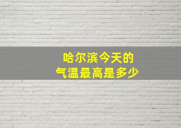 哈尔滨今天的气温最高是多少