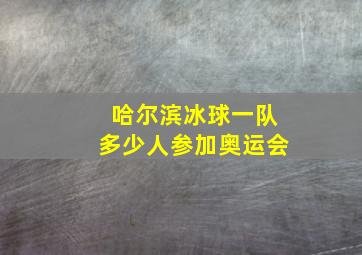 哈尔滨冰球一队多少人参加奥运会