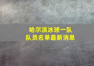 哈尔滨冰球一队队员名单最新消息