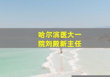 哈尔滨医大一院刘殿新主任