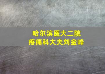 哈尔滨医大二院疼痛科大夫刘金峰