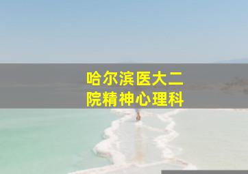 哈尔滨医大二院精神心理科