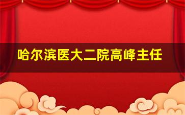 哈尔滨医大二院高峰主任