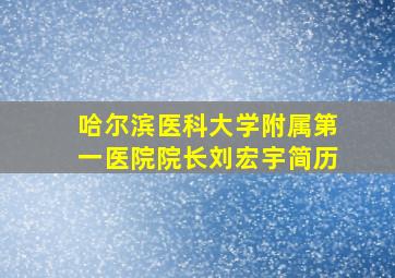 哈尔滨医科大学附属第一医院院长刘宏宇简历