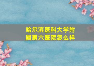 哈尔滨医科大学附属第六医院怎么样