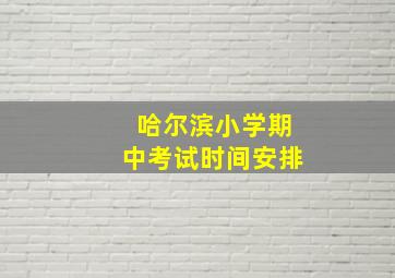 哈尔滨小学期中考试时间安排