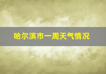 哈尔滨市一周天气情况