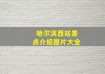 哈尔滨西站景点介绍图片大全