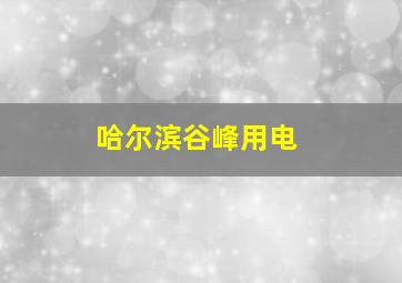 哈尔滨谷峰用电