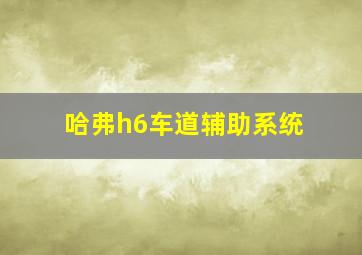 哈弗h6车道辅助系统