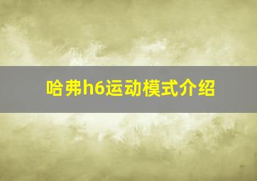 哈弗h6运动模式介绍