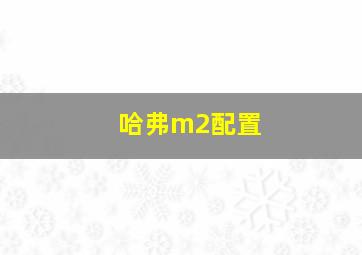 哈弗m2配置