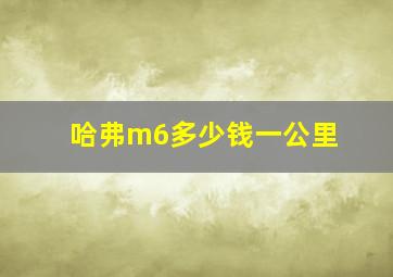 哈弗m6多少钱一公里