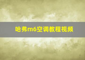 哈弗m6空调教程视频