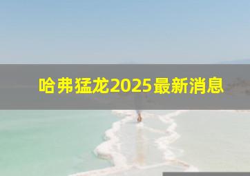 哈弗猛龙2025最新消息