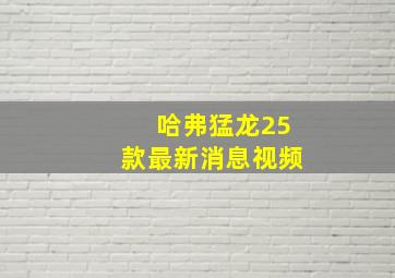 哈弗猛龙25款最新消息视频