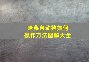 哈弗自动挡如何操作方法图解大全