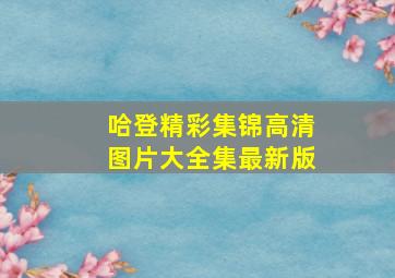 哈登精彩集锦高清图片大全集最新版