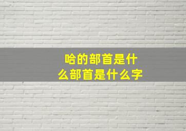 哈的部首是什么部首是什么字