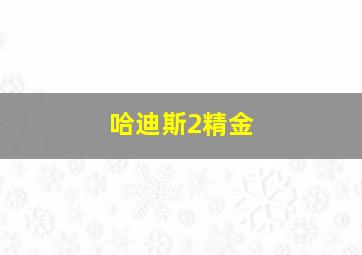 哈迪斯2精金